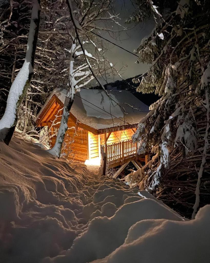 La-Haut Cabanes Perchees La Thuile エクステリア 写真